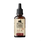 Kit para Barba - Shampoo + Óleo Don Alcides Peaky Blinders — DON ALCIDES