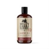 Shampo 2 em 1 Don Alcides Peaky Blinders 230ml — DON ALCIDES